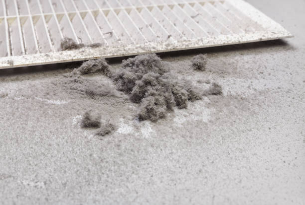 Best Air Duct Cleaning Near Me  in Central City, KY
